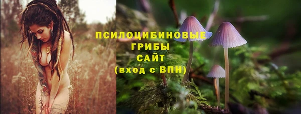 тгк Абинск