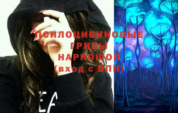 тгк Абинск