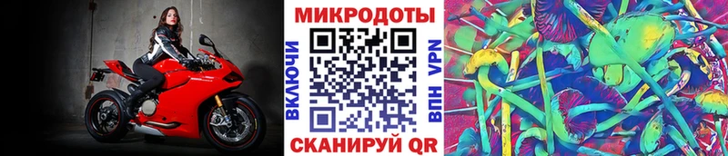Галлюциногенные грибы GOLDEN TEACHER  что такое   Карачев 